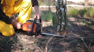 Best Lawn Drainage Solutions  in Brielle, NJ